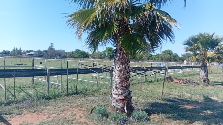 Commercial Property for Sale in Parys Rural Free State